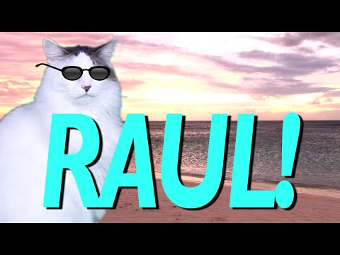 HAPPY BIRTHDAY RAUL! - EPIC CAT Happy Birthday Song