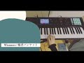 Wienners 姫君バンケット キーボード パート 弾いてみた keyboard cover