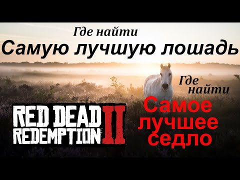 Самая Лучшая Лошадь. Самое Лучшее Седло. Red Dead Redemption 2.