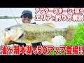 アフタースポーンの油ヶ淵攻略!