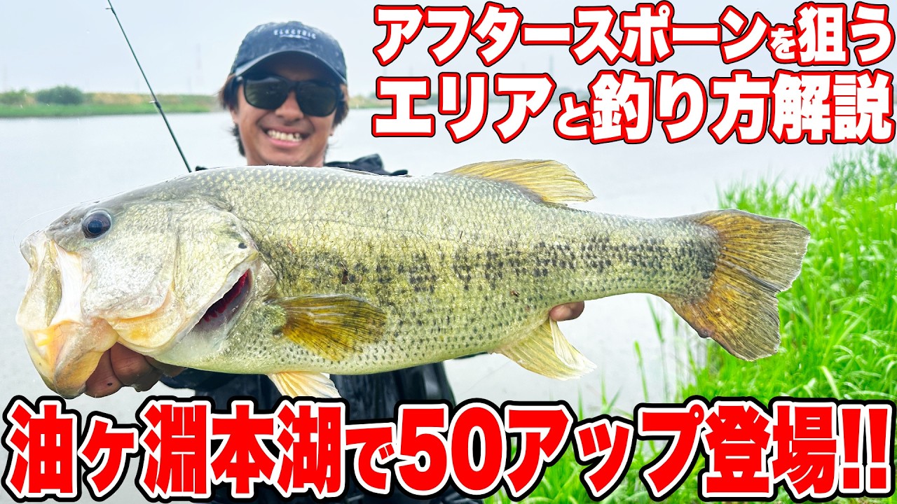 アフタースポーンの油ヶ淵攻略!