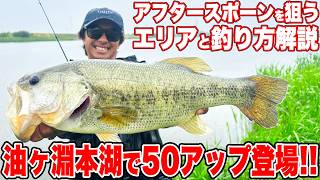アフタースポーンの油ヶ淵攻略！