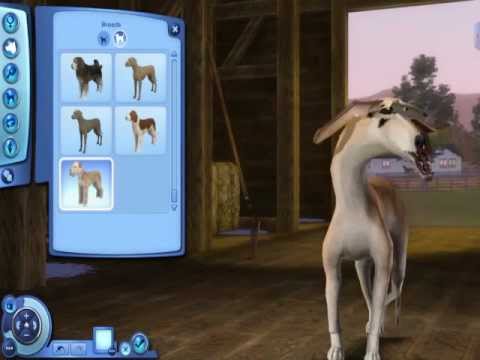 sims 3 kinky world whoring