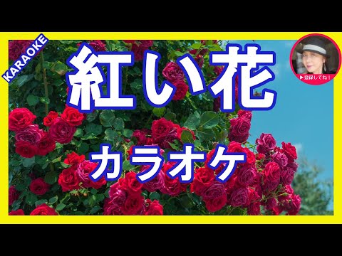 紅い花 ちあきなおみ カラオケ With Romaji Karaoke Youtube