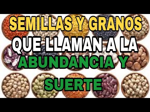 Las semillas y sus beneficios para la suerte y la abundancia!