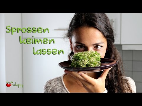 Alfalfa gegen Bluthochdruck