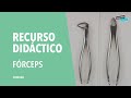 El instrumental dental: los fórceps