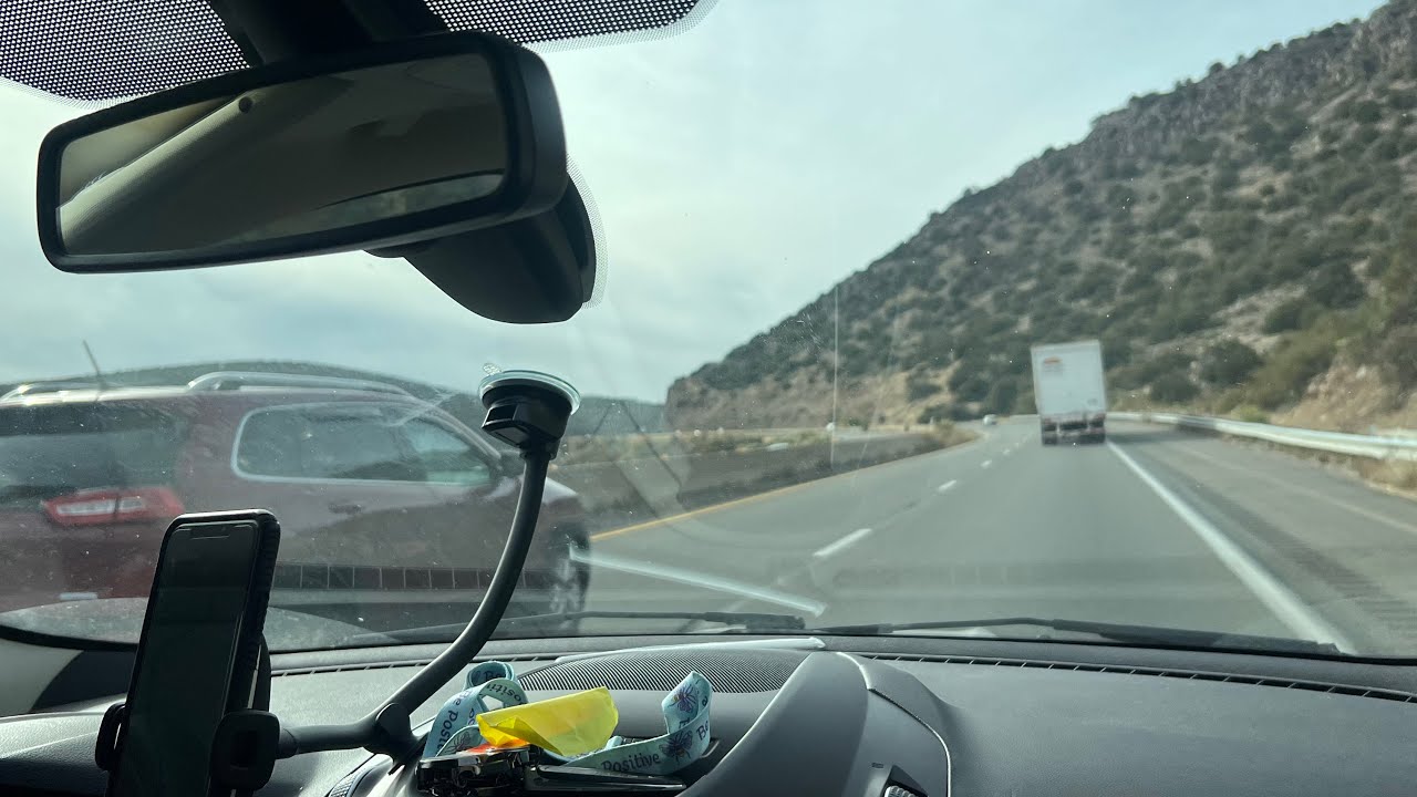 Moving across the country with four dogs ￼