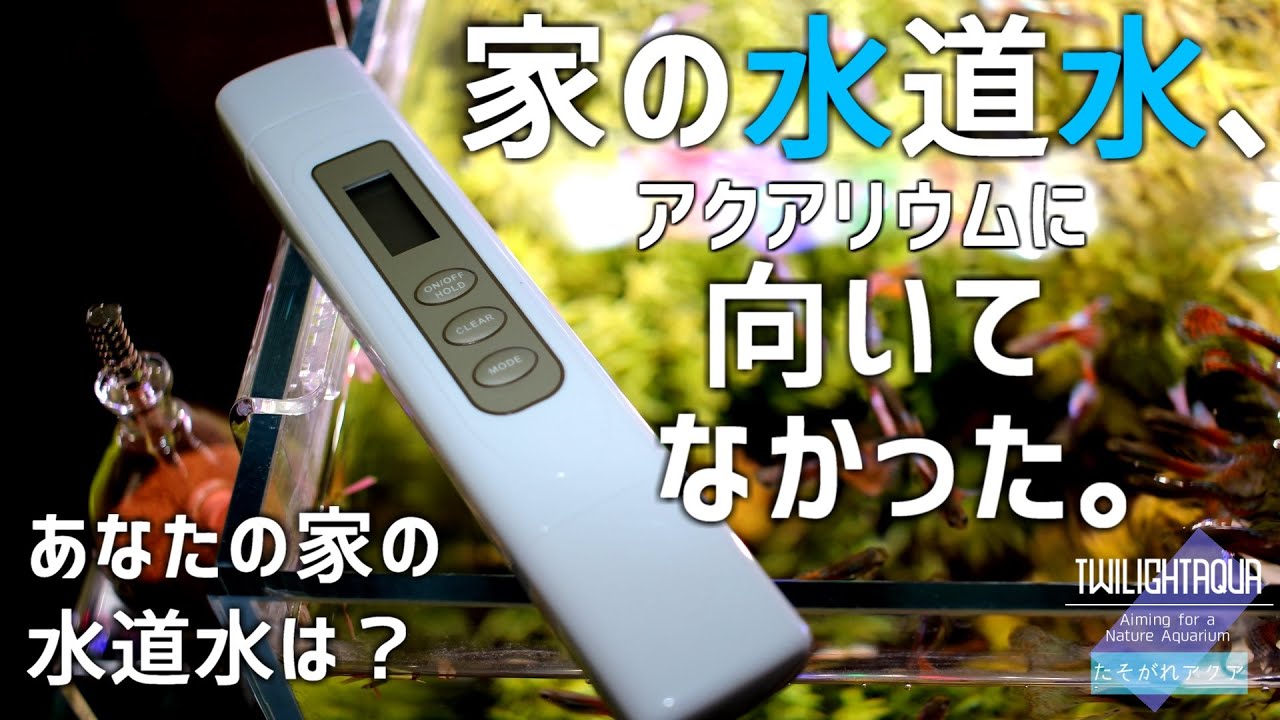 【衝撃事実】家の水道水がアクアリウムに向いてなかった...あなたの家は大丈夫？#26【アクアリウム】