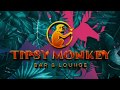 Tipsy monkey live stream dj kimm