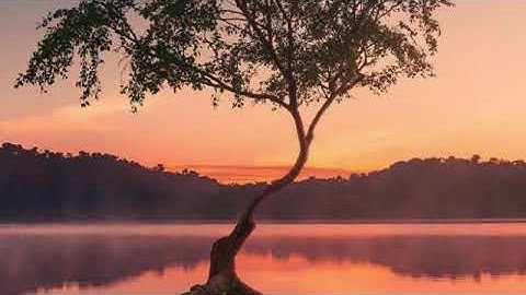 سوره المجادله بصوت القارئ ماهر المعيقلي