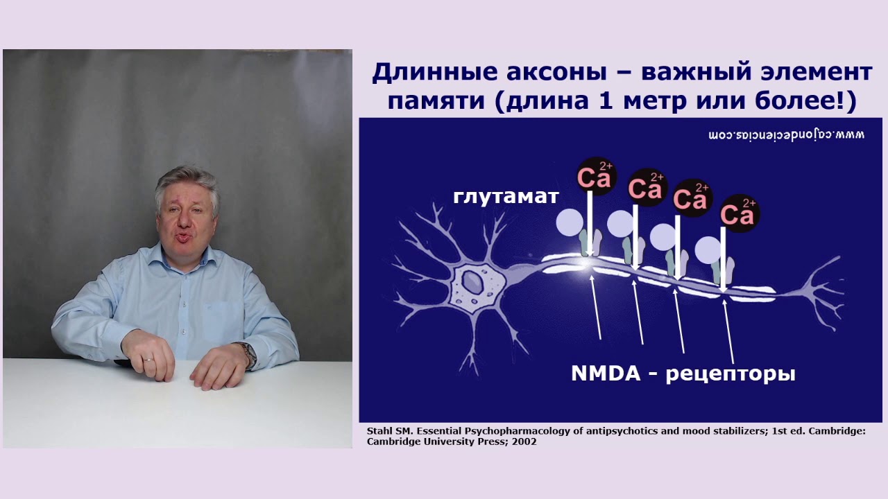 Меманталь - защита нейронов от β-амилоида. - YouTube