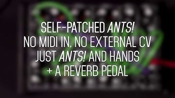 Ants! Prototype - generative demo 2. Resonant drones