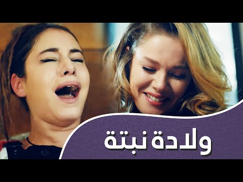 أغنية الحب ولادة نبتة