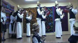 Video thumbnail of "ansamblul vasile lucaciu sisesti"