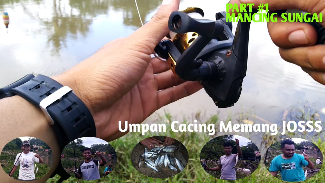 MANCING DI SUNGAI UMPAN CACING STREEK BANYAK