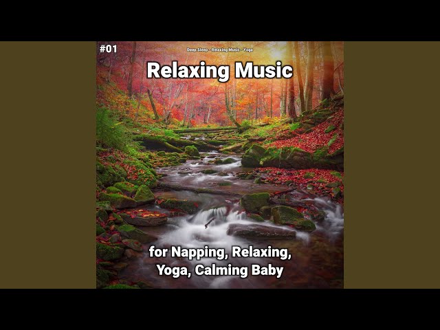 Tranquil Moments