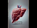 حالا هی هر شب بشین کبدچرب الکل عرق نوشیدنی الکلی مشروب