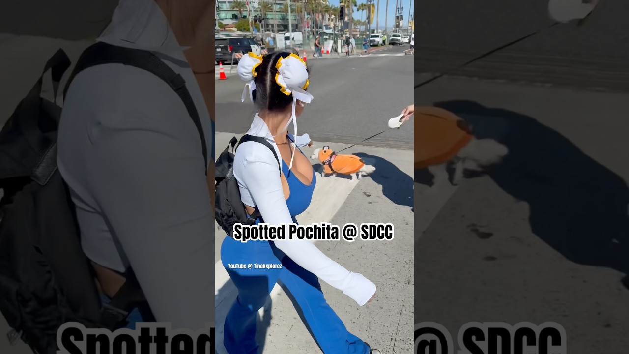 Spotted Pochita @ SDCC! #viralshort #sdcc #sandiego #anime