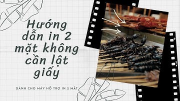 Hướng dẫn in 2 mặt file PDF không cần lật giấy