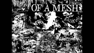 Of a Mesh - Damage