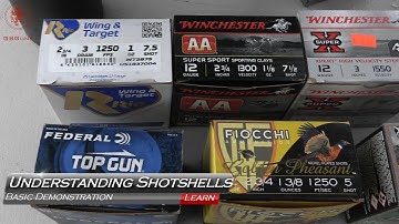 Understanding Shotgun Ammo