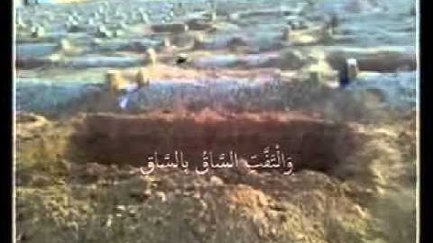 كلا إذا بلغت التراقي تلاوة الشيخ محمد المهنا