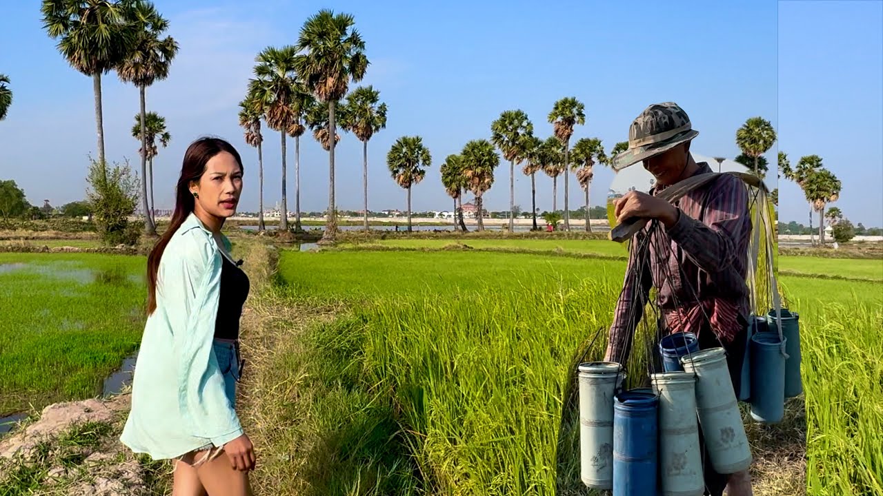 Meet Old Man Collecting Palm Juice/ Neems Chicken Salad