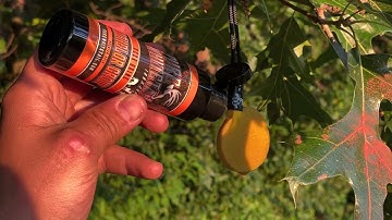 Pure Whitetail Summertime Mock Scrapes