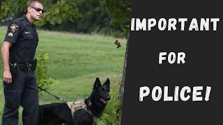 2 Important Skills Police Officers MUST Have!