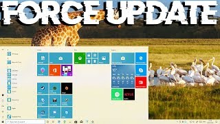 how to download windows 10 may update 1903 without reset or fresh install