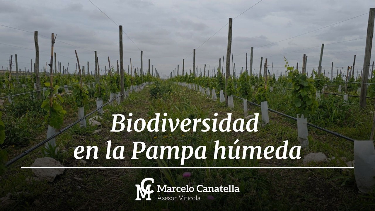 ¿Querés conocer la biodiversidad en la Pampa húmeda?