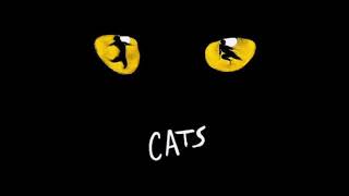 Cats Medley