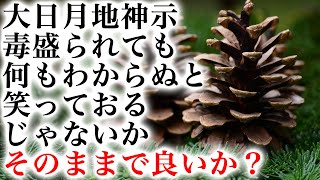 【DAY221】共に学ぼう大日月地神示【毒盛られても何もわからぬと笑っておるじゃないか・そのままで良いか】