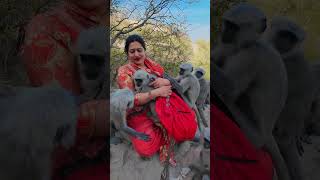 😂🤔🐒 छोटा डॉन छुप गया #shorts #wildlife