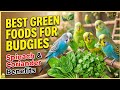 🌿Best Green Foods for Budgies | Spinach, Coriander & More!Nomi parott house||