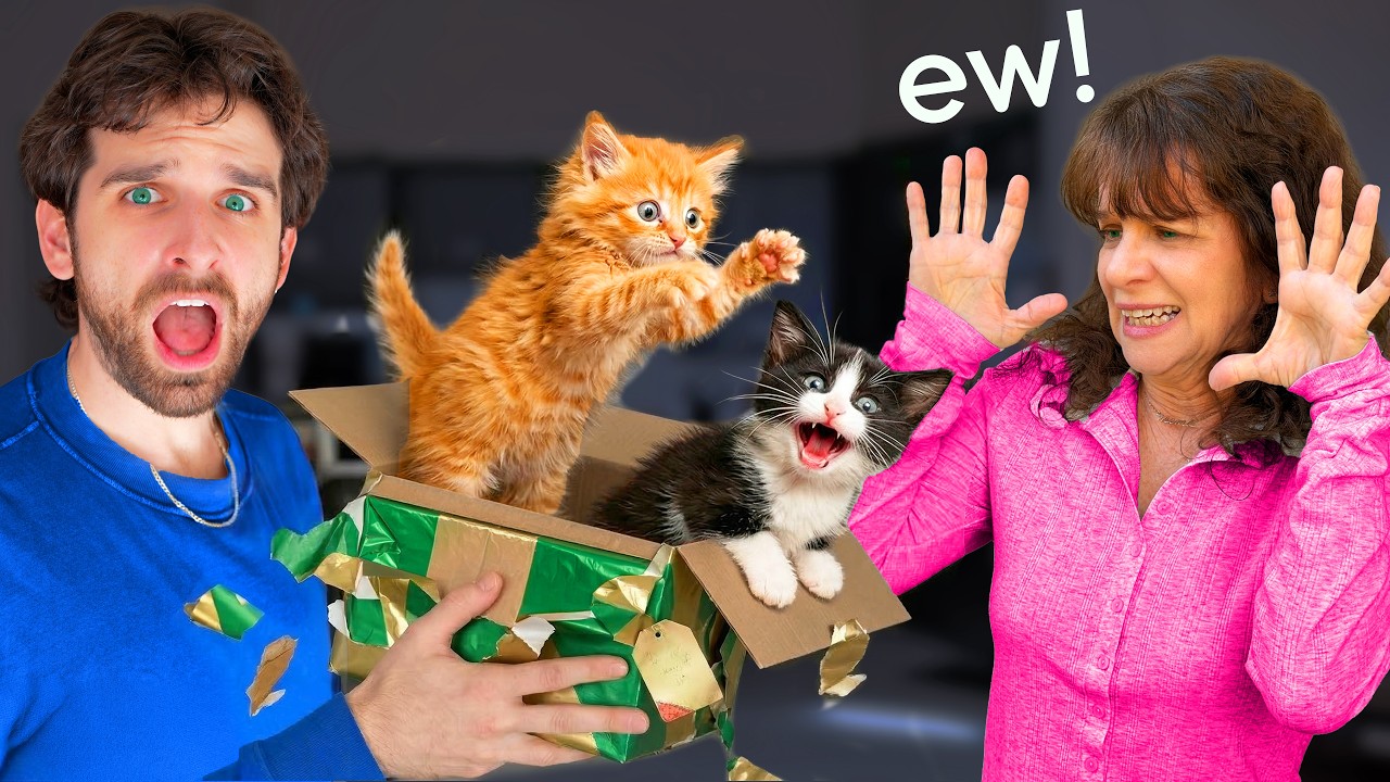 I SURPRISED My Mom with 2 WILD Stray CATS (bad idea) - YouTube