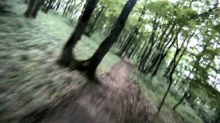 Bistritadh Go Pro