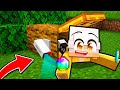 Ho TROVATO un TESORO DENTRO un ALBERO in Minecraft