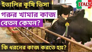 ইতালির কৃষি ভিসাতে এসে খামারে কাজ | বেতন কেমন? কি ধরনের কাজ করতে হয়?