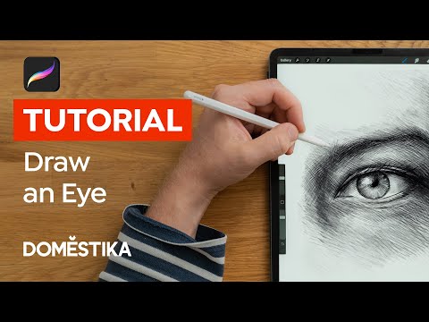 Ballpoint Pen Drawing Demo: When to Step Away? - Realism Today