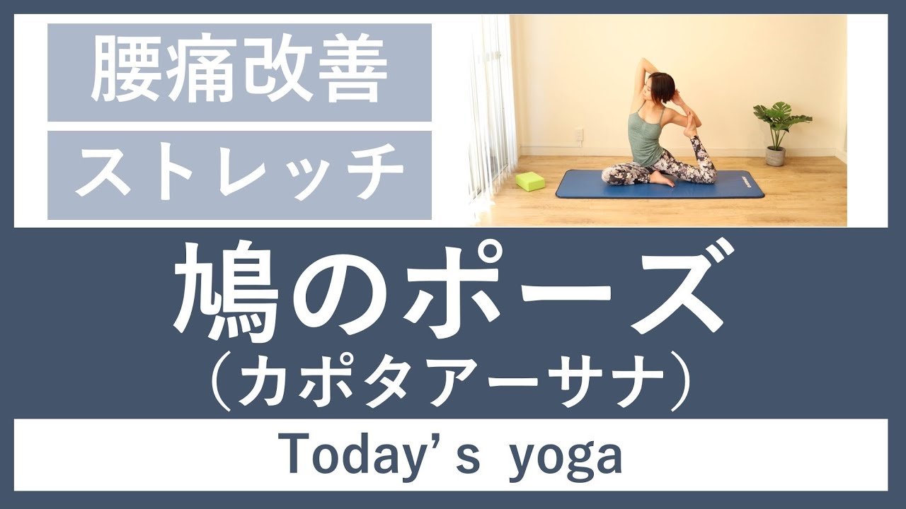 鳩のポーズ カポタアーサナ 初心者ヨガ ストレッチ効果 腰痛改善 臀部 股関節の可動域を広げる 柔軟性up Youtube