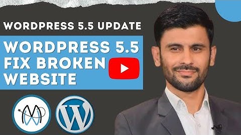 WordPress 5.5 is Breaking Sites | Wordpress 5.5 Broken Website Fix (Urdu -Hindi)