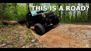 The Hardest Forest Road I’ve Found in Georgia so far, Walking Stick Road. And I took my mother!