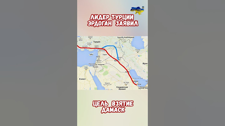 Сирия Турция Эрдоган цель Дамаск выбить РФ Иран #сирия #эрдоган #сирияновости #приколы #историярф