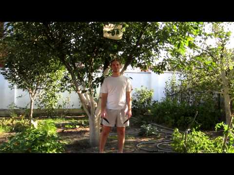 Ice bucket challenge