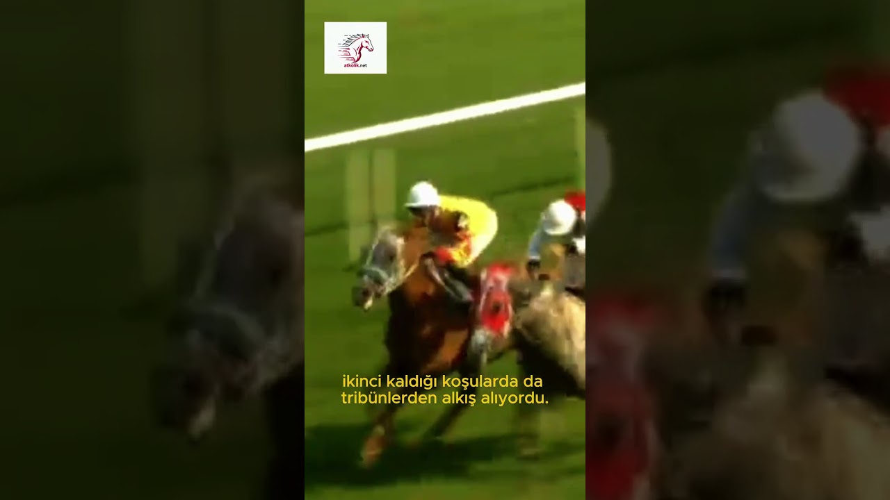 ŞAMPİYON YAVUZHAN! 🐴