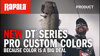 Rapala DT6 Series Crankbaits - Product Video