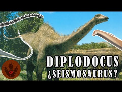 Vídeo: Quin és el diplodocus o el braquiosaure més gran?