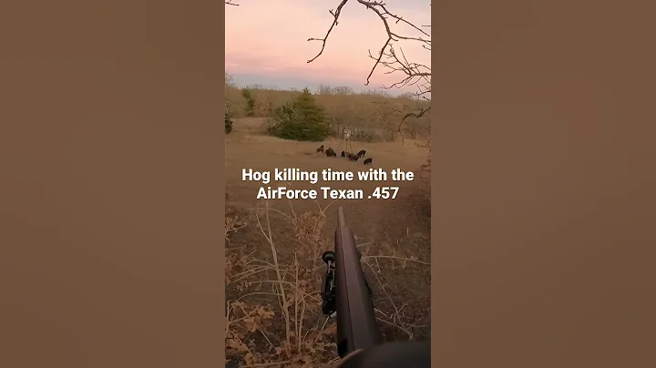 Air Force Texan .457 Strikes again!!